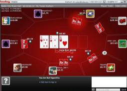 Bodog poker online casino
